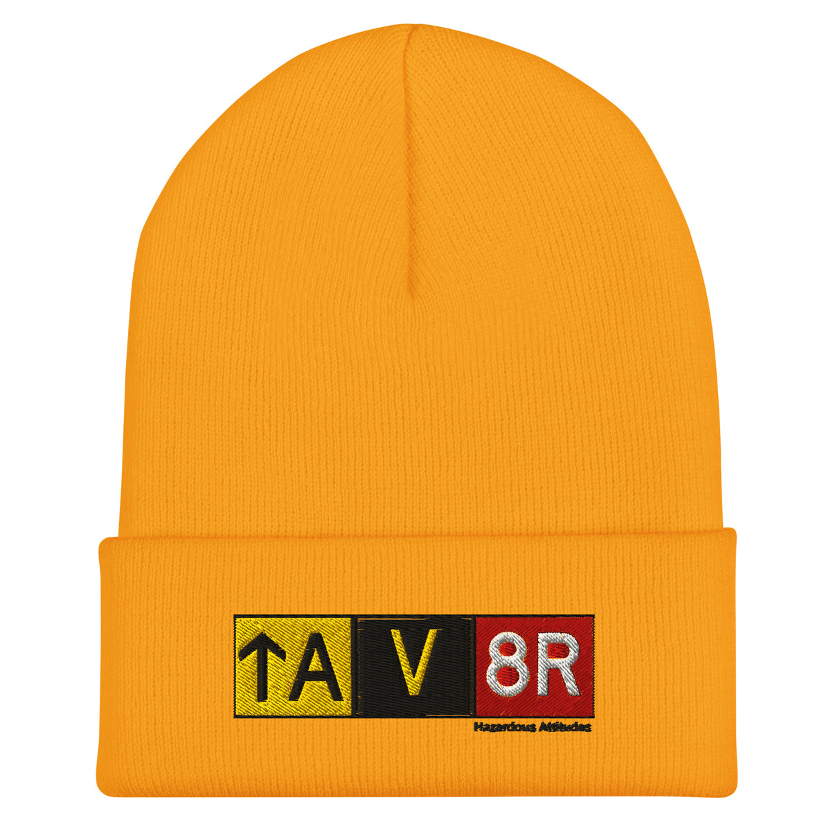 Cuffed Beanie - Aviator Airport Signs