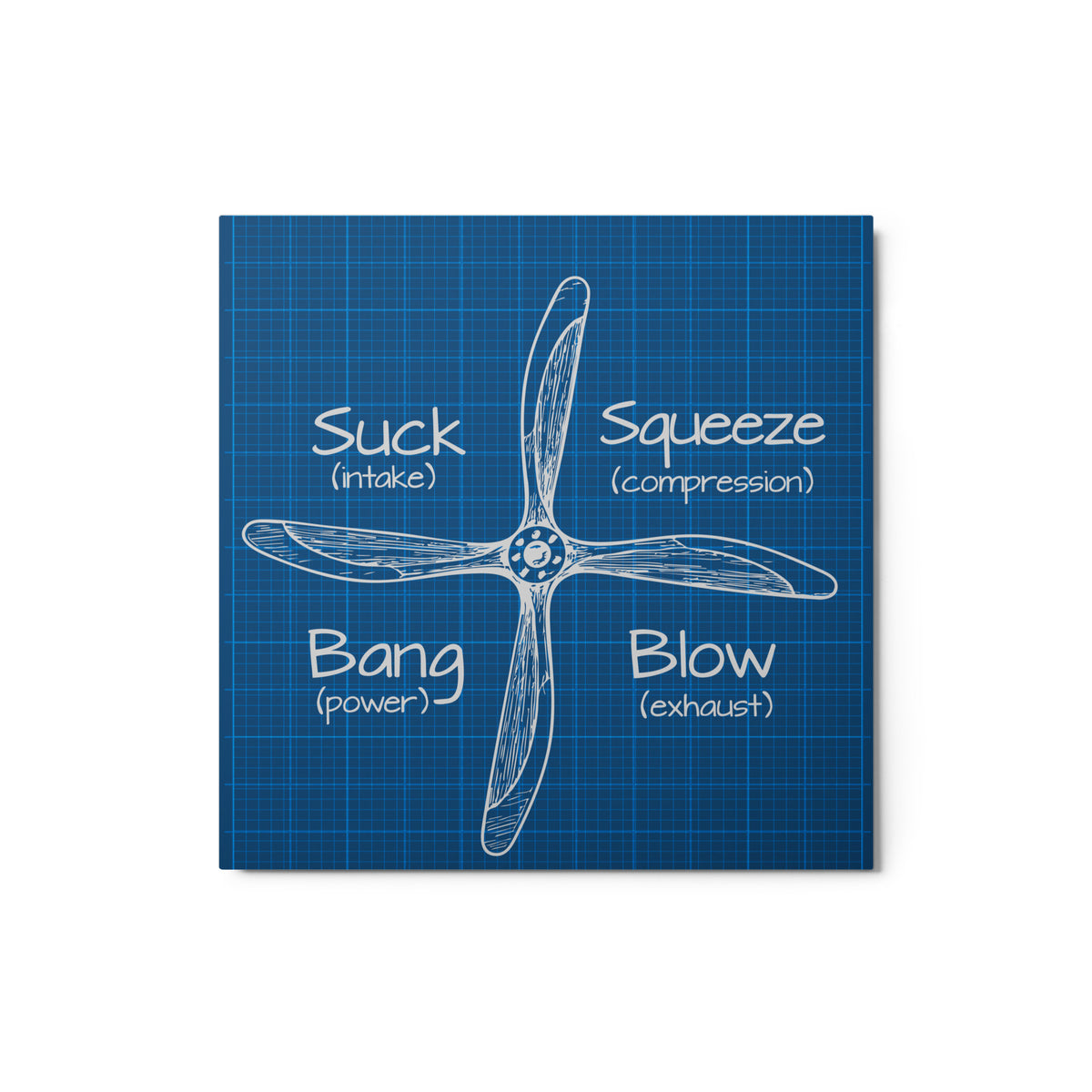 SSBB - Metal print